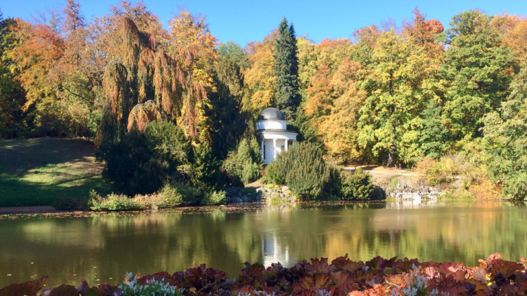 Cuando llega el otoño…